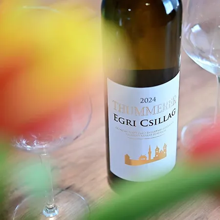 One Luxury Grand Lägenhet